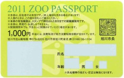 2011年のパスポート